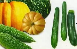 吃瓜脆柿,吃瓜脆柿，甜蜜脆爽尽享清凉时光
