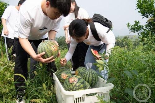 徐州学校死人吃瓜事件,死者被误传吃瓜事件引发社会关注