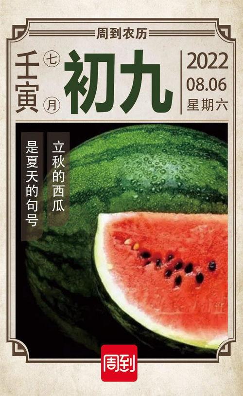 初九吃瓜,揭秘娱乐圈幕后故事