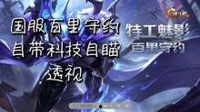 朱哥王者爆料视频下载免费,揭秘免费下载游戏视频的独家秘籍