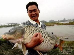 吃瓜大赛鱼爪网,鱼爪网带你领略瓜界盛宴