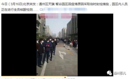 栾城网友爆料新闻最新,惊现神秘事件，真相令人震惊！