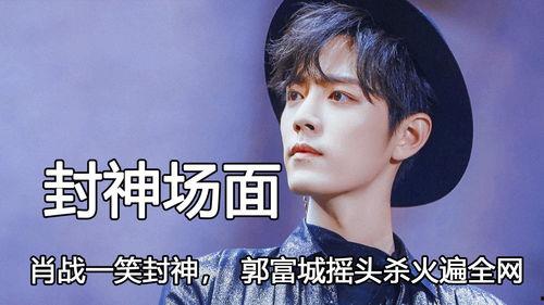 明星人物名字,揭秘明星XXX的辉煌历程