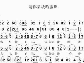 二胡独奏请你吃块哈密瓜,一场视听盛宴的完美邂逅