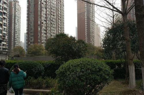 临湖苑吃瓜,一场吃瓜盛宴背后的故事