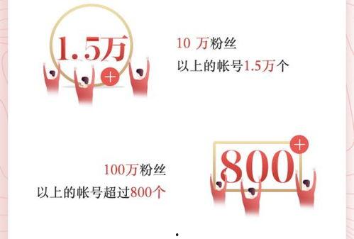 合肥有哪些头条创作者,合肥头条创作者风采掠影