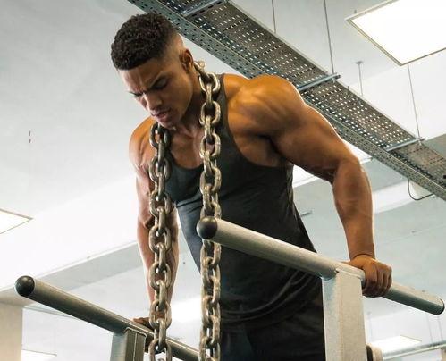 健身网红刘畊宏视频,高效燃脂塑形，跟着健身达人一起动起来！