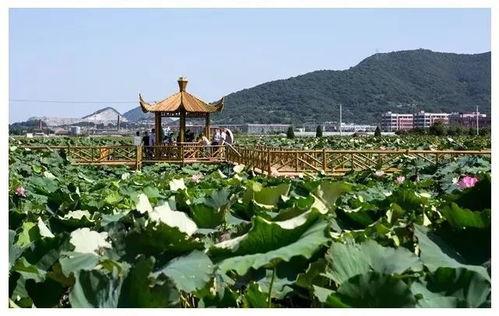 广安城市网红打卡地点,探寻城市魅力新地标