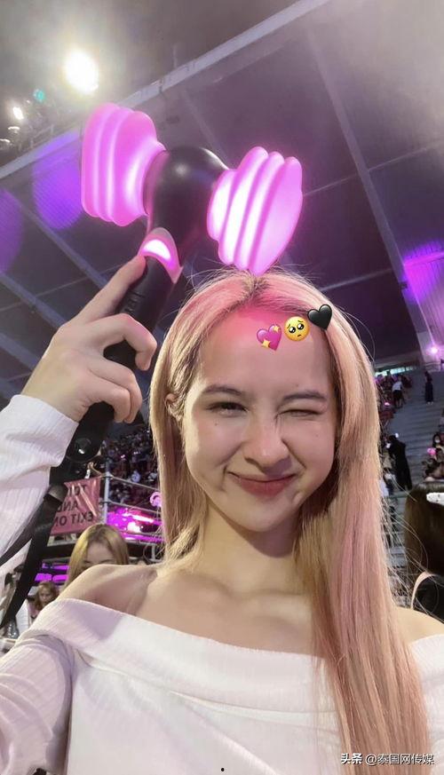 pink泰国明星,闪耀舞台的璀璨之星