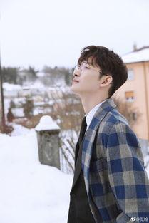 雪景下的明星,雪景中的明星风采