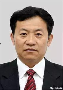 陈坚明星,星光璀璨的演艺之路