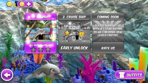 我的海豚明星,海洋中的璀璨明珠