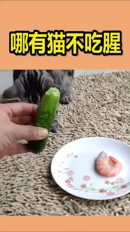 腥瓜怎么吃,解锁美味新体验