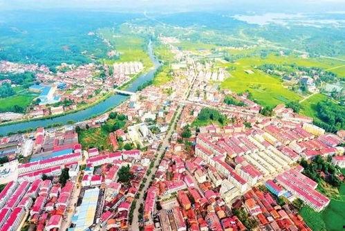 苍梧县黎埠镇新闻头条,聚焦乡村振兴新篇章