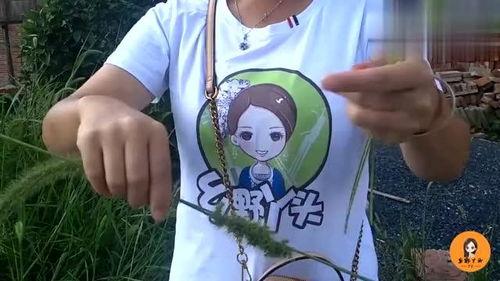 老公爆料秋子视频